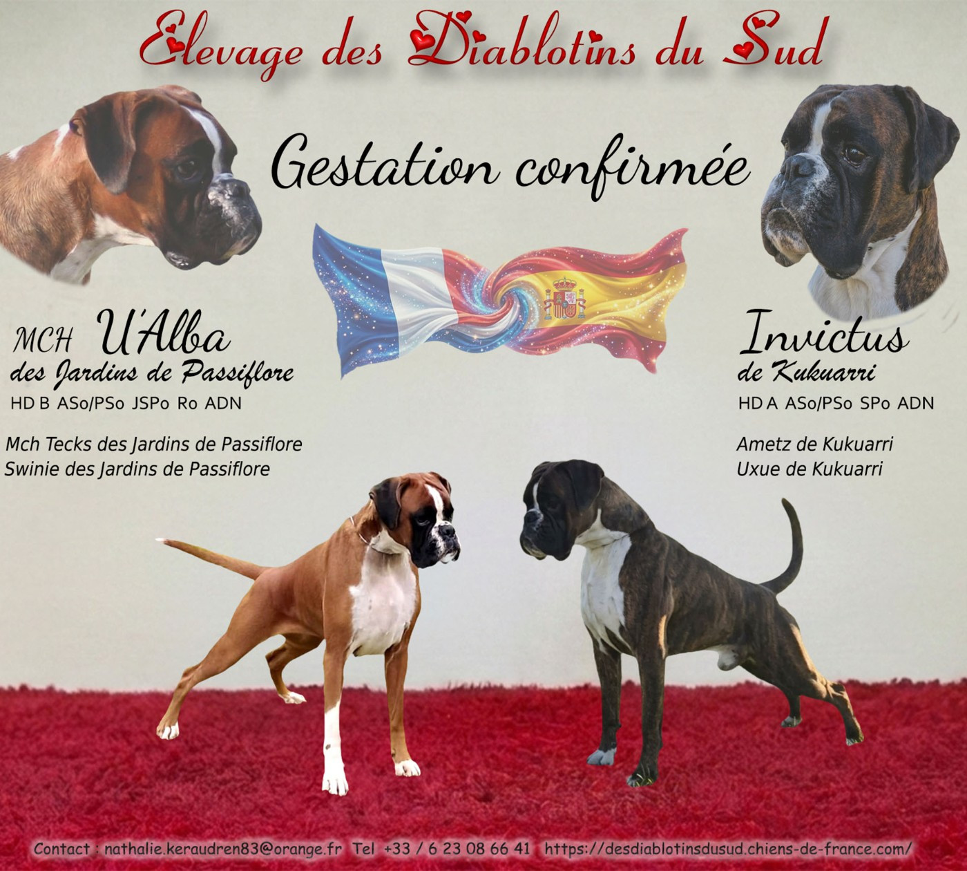 Confirmation de gestation